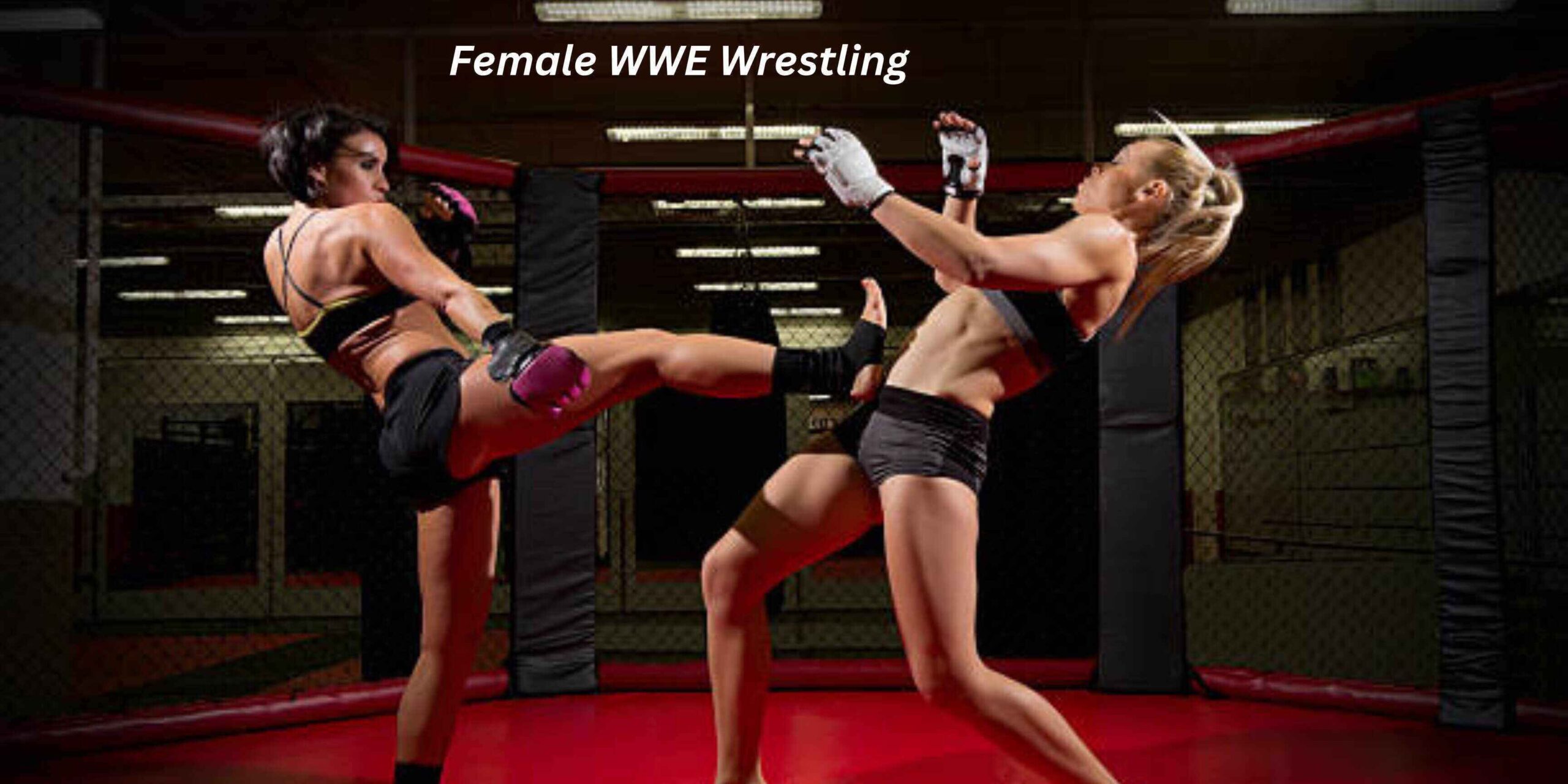 Female WWE Wrestling: Strength, Skill & Spectacle